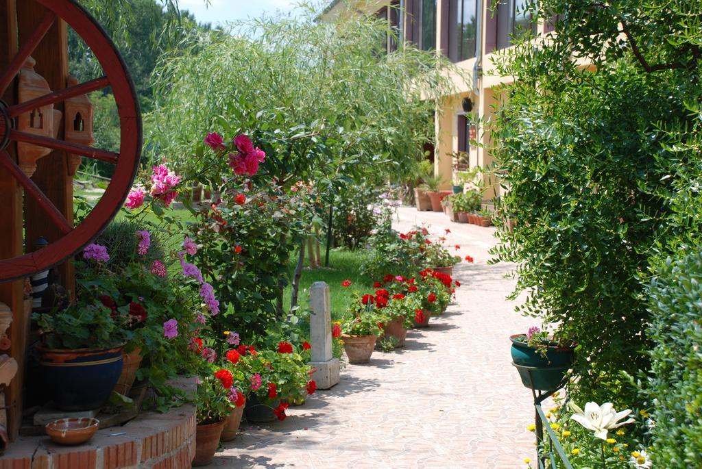 Villa Giulia Islaz Ngoại thất bức ảnh